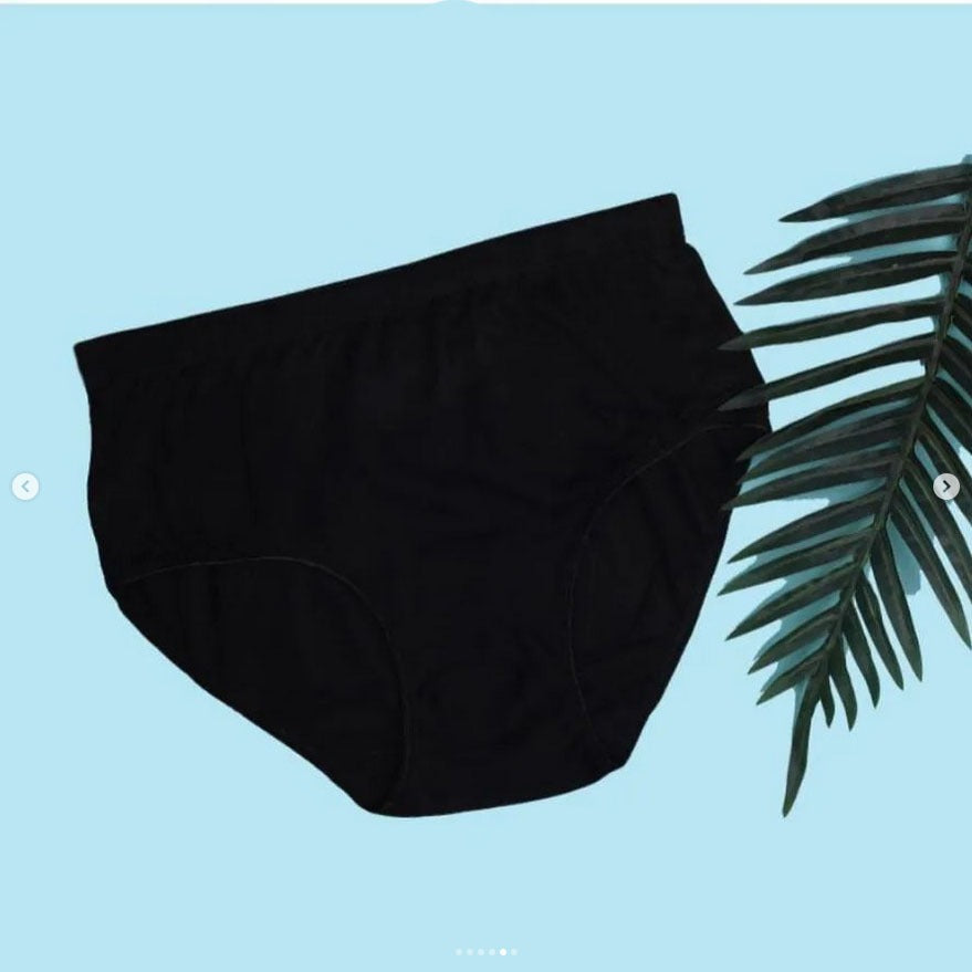 Shezaib Budget Pack Comfortable Cotton Brief Women Seamless Underwear Panties