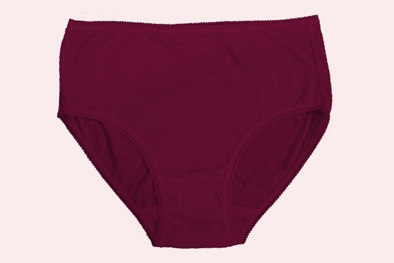 Flourish Combo Of 3 Plain 100% Cotton Panties For Women 517