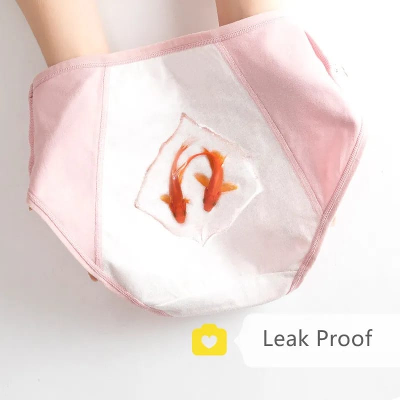 Pack of 3 High Quality Leak Proof Periods Panties